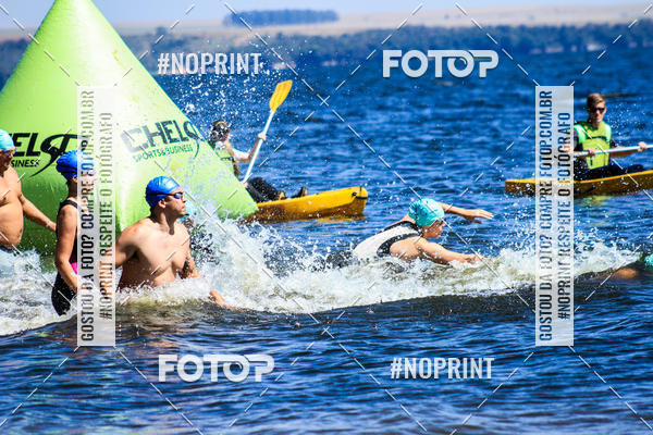 Buy your photos of the eventWolf Series - Botucatu on Fotop