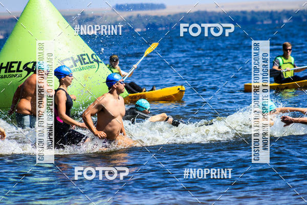 Buy your photos of the eventWolf Series - Botucatu on Fotop