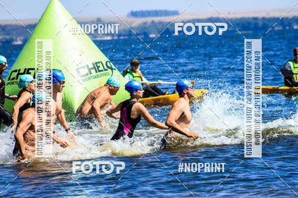 Buy your photos of the eventWolf Series - Botucatu on Fotop