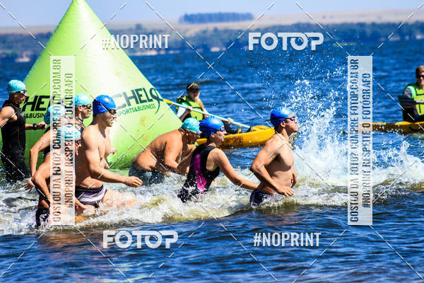 Buy your photos of the eventWolf Series - Botucatu on Fotop