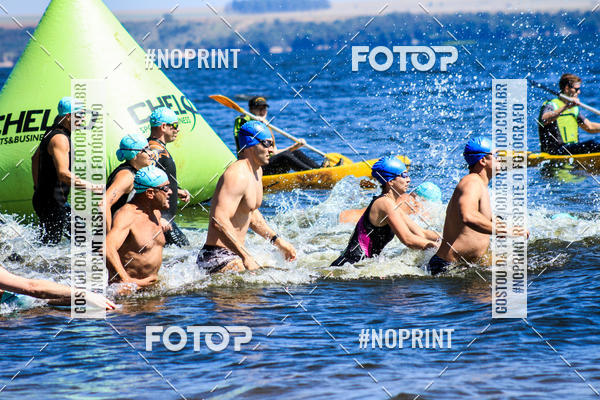 Buy your photos of the eventWolf Series - Botucatu on Fotop