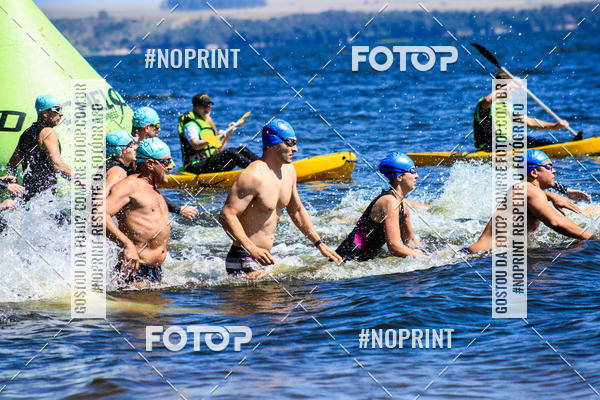 Buy your photos of the eventWolf Series - Botucatu on Fotop