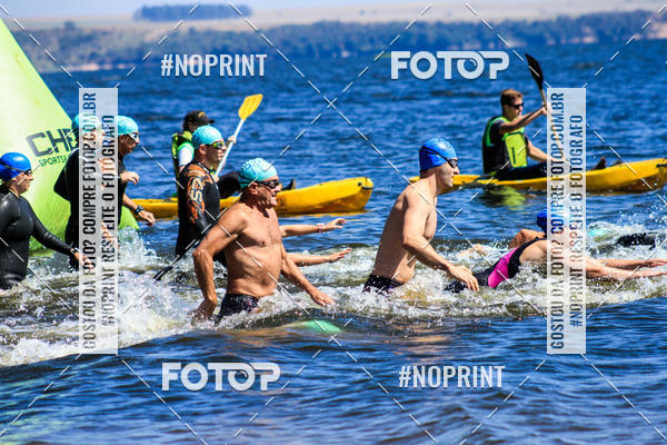 Buy your photos of the eventWolf Series - Botucatu on Fotop