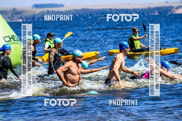 Buy your photos of the eventWolf Series - Botucatu on Fotop