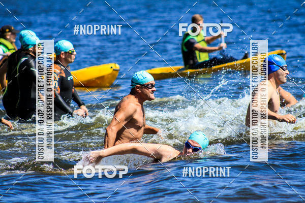 Buy your photos of the eventWolf Series - Botucatu on Fotop