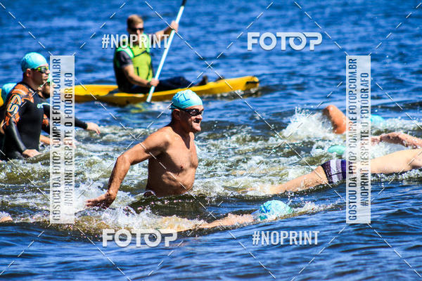 Buy your photos of the eventWolf Series - Botucatu on Fotop