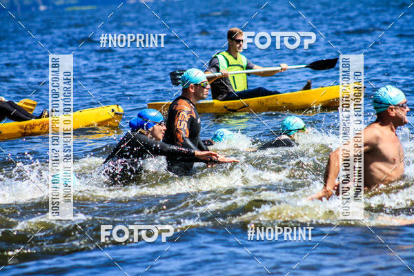 Buy your photos of the eventWolf Series - Botucatu on Fotop