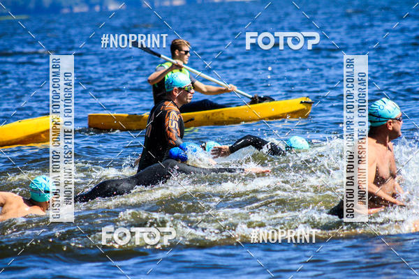 Buy your photos of the eventWolf Series - Botucatu on Fotop