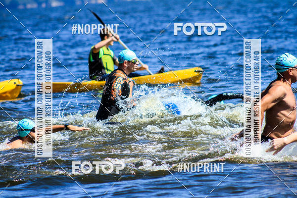 Buy your photos of the eventWolf Series - Botucatu on Fotop