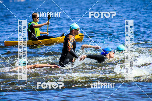 Buy your photos of the eventWolf Series - Botucatu on Fotop