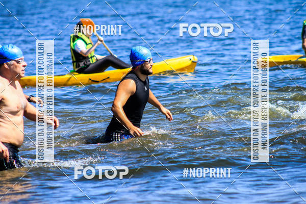 Buy your photos of the eventWolf Series - Botucatu on Fotop