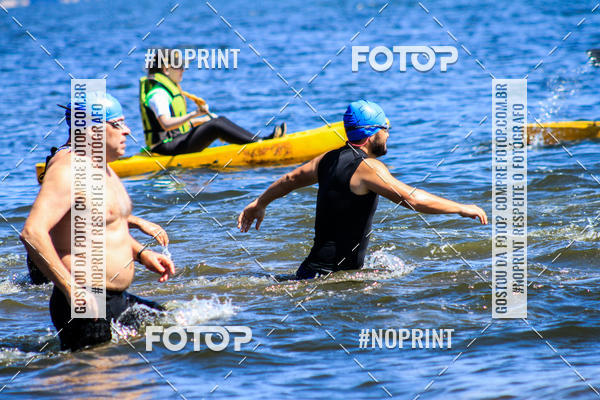 Buy your photos of the eventWolf Series - Botucatu on Fotop