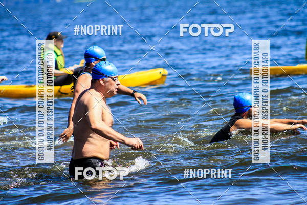 Buy your photos of the eventWolf Series - Botucatu on Fotop