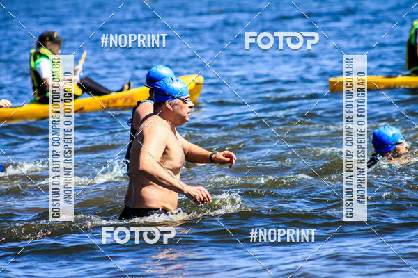 Buy your photos of the eventWolf Series - Botucatu on Fotop