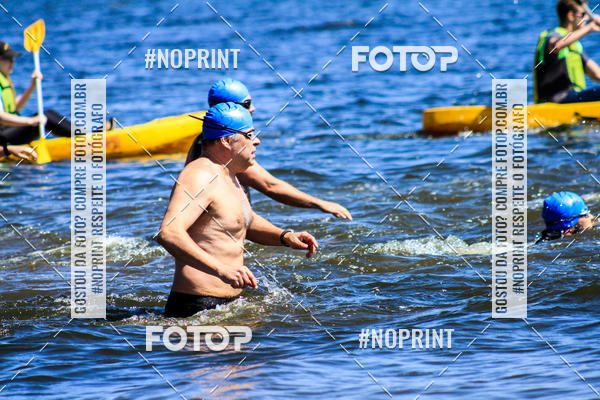 Buy your photos of the eventWolf Series - Botucatu on Fotop