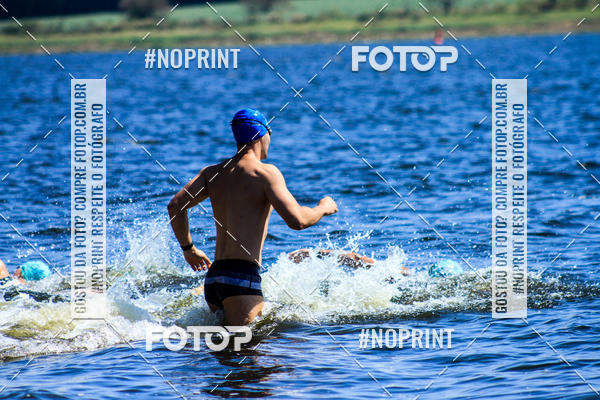 Buy your photos of the eventWolf Series - Botucatu on Fotop