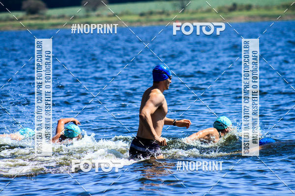 Buy your photos of the eventWolf Series - Botucatu on Fotop