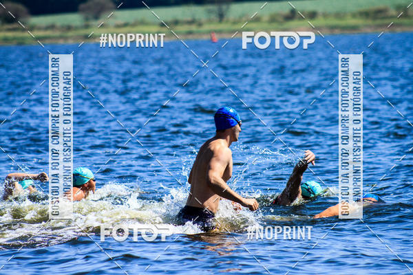 Buy your photos of the eventWolf Series - Botucatu on Fotop