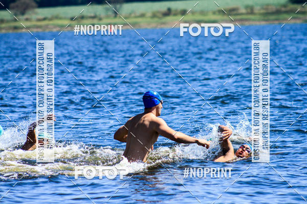 Buy your photos of the eventWolf Series - Botucatu on Fotop