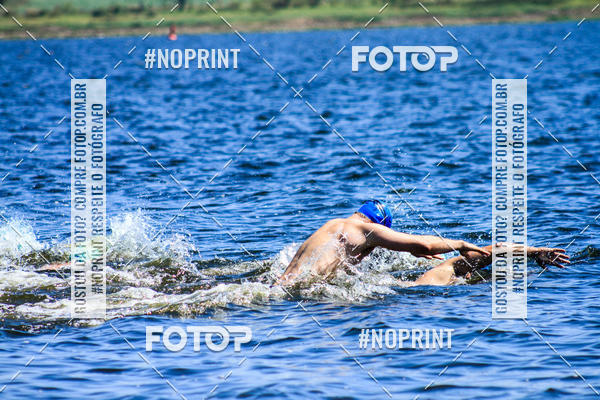 Buy your photos of the eventWolf Series - Botucatu on Fotop