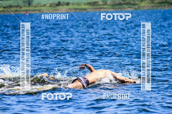 Buy your photos of the eventWolf Series - Botucatu on Fotop