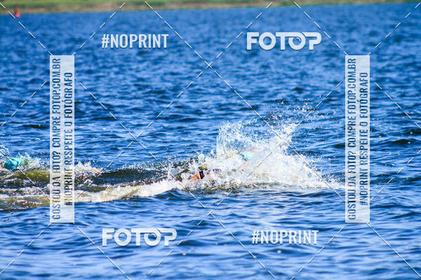 Buy your photos of the eventWolf Series - Botucatu on Fotop