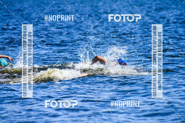 Buy your photos of the eventWolf Series - Botucatu on Fotop