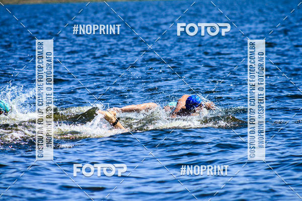 Buy your photos of the eventWolf Series - Botucatu on Fotop