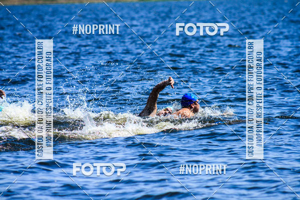 Buy your photos of the eventWolf Series - Botucatu on Fotop