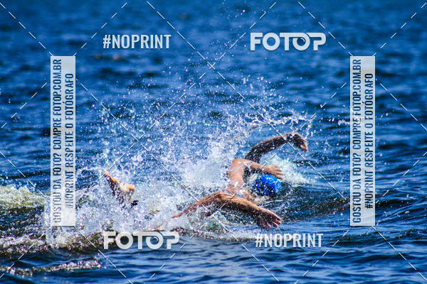 Buy your photos of the eventWolf Series - Botucatu on Fotop