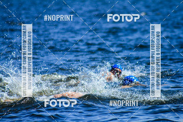 Buy your photos of the eventWolf Series - Botucatu on Fotop