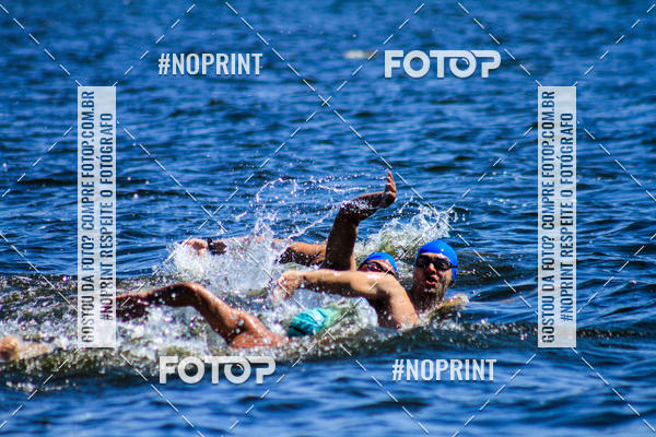 Buy your photos of the eventWolf Series - Botucatu on Fotop