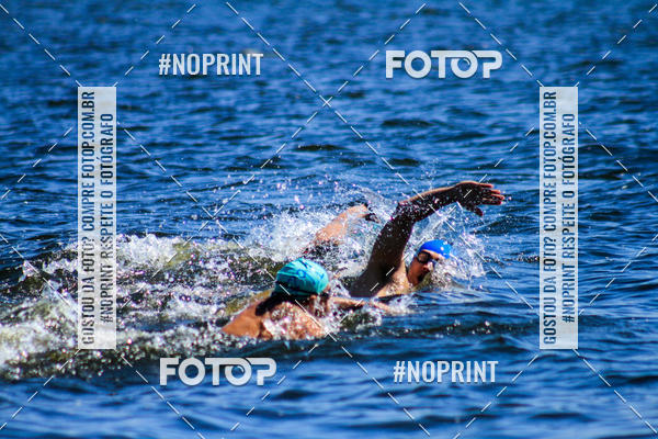 Buy your photos of the eventWolf Series - Botucatu on Fotop