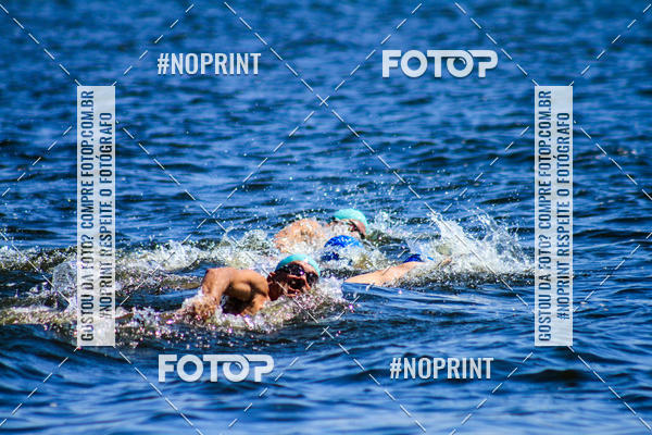 Buy your photos of the eventWolf Series - Botucatu on Fotop