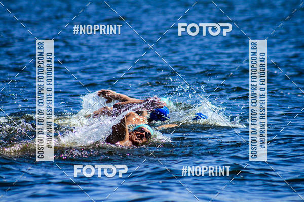 Buy your photos of the eventWolf Series - Botucatu on Fotop