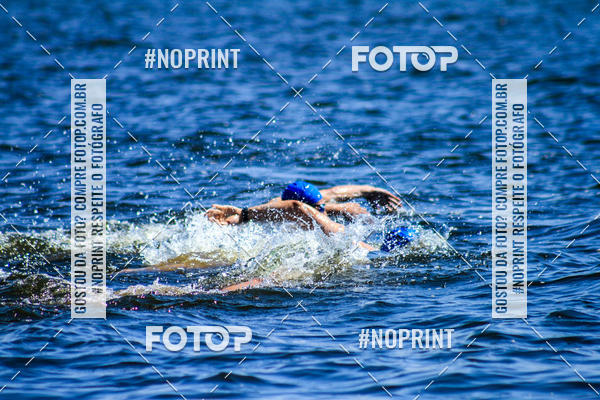 Buy your photos of the eventWolf Series - Botucatu on Fotop