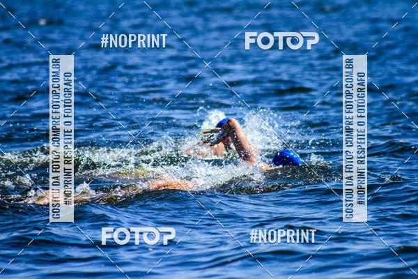Buy your photos of the eventWolf Series - Botucatu on Fotop