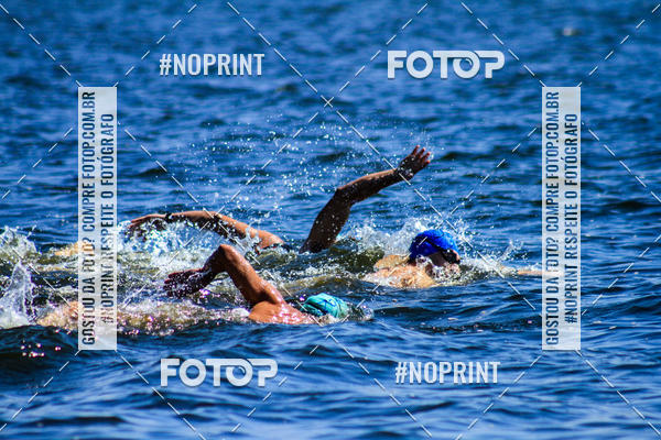 Buy your photos of the eventWolf Series - Botucatu on Fotop