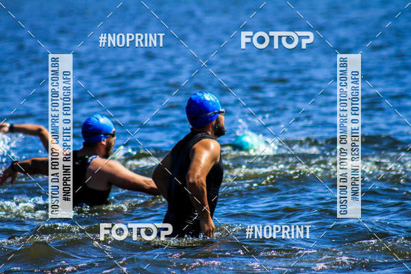 Buy your photos of the eventWolf Series - Botucatu on Fotop