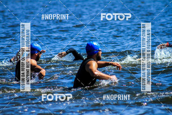 Buy your photos of the eventWolf Series - Botucatu on Fotop