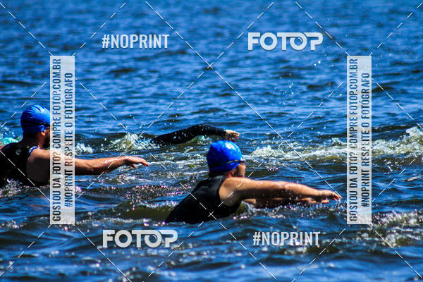 Buy your photos of the eventWolf Series - Botucatu on Fotop