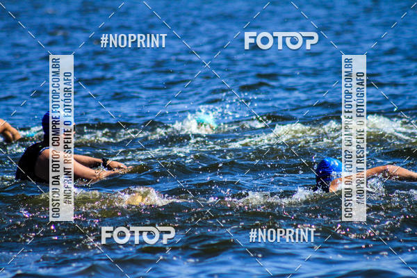 Buy your photos of the eventWolf Series - Botucatu on Fotop