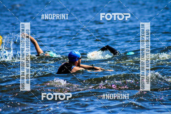 Buy your photos of the eventWolf Series - Botucatu on Fotop