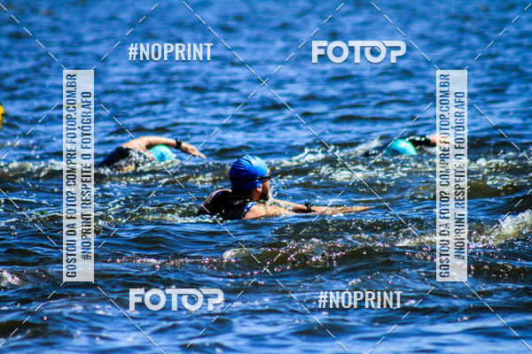 Buy your photos of the eventWolf Series - Botucatu on Fotop