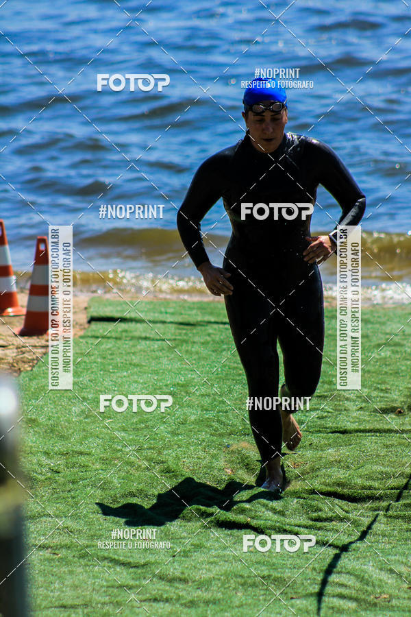 Buy your photos of the eventWolf Series - Botucatu on Fotop