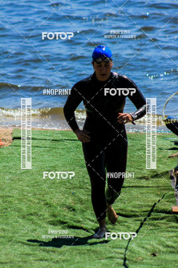 Buy your photos of the eventWolf Series - Botucatu on Fotop