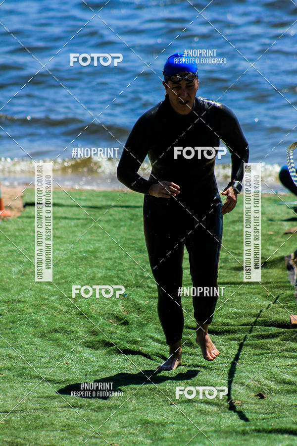 Buy your photos of the eventWolf Series - Botucatu on Fotop