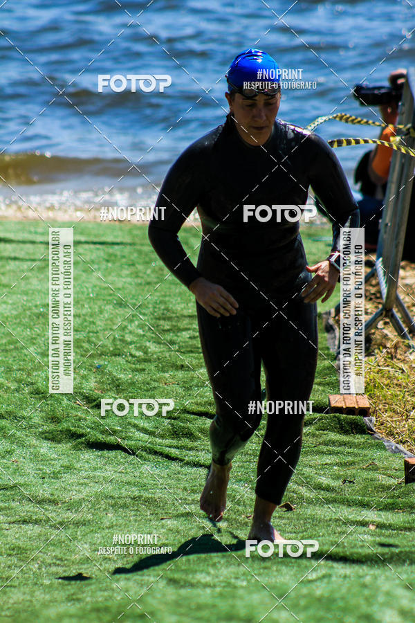 Buy your photos of the eventWolf Series - Botucatu on Fotop