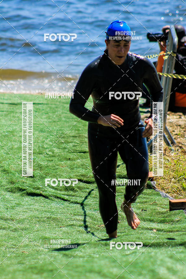 Buy your photos of the eventWolf Series - Botucatu on Fotop