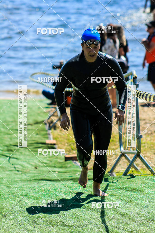 Buy your photos of the eventWolf Series - Botucatu on Fotop